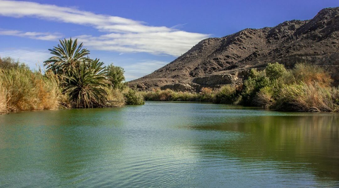 Arizona entre la escasez hídrica y el boom tecnológico: tensiones de la IA