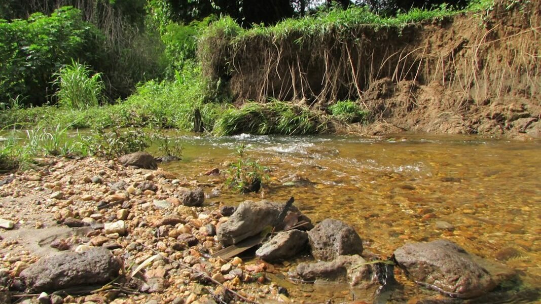 La crisis hídrica de EE.UU.: cuando la potencia económica enfrenta la escasez de agua