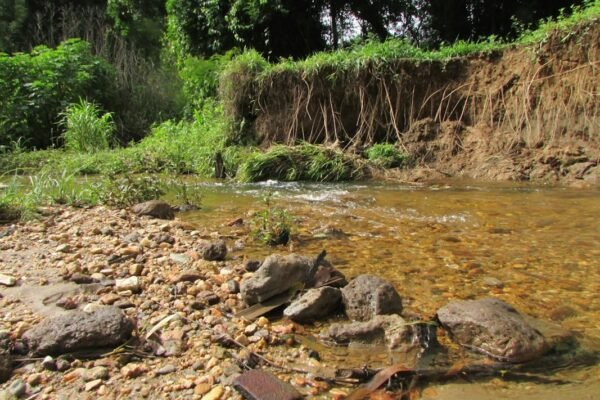 La crisis hídrica de EE.UU.: cuando la potencia económica enfrenta la escasez de agua