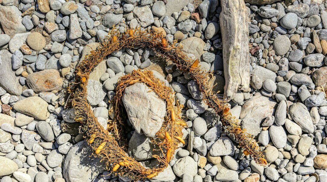 Caribe mexicano: cuando la naturaleza cobra factura a la industria turística