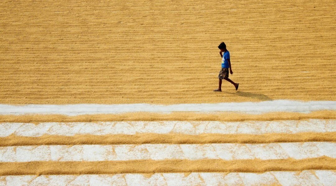 El voto de los que se ahogan: la irracionalidad política del campo latinoamericano
