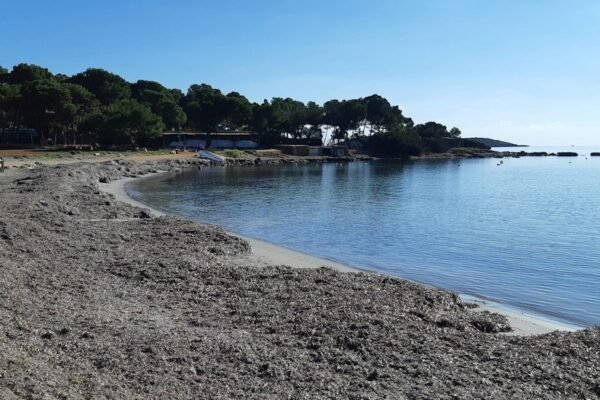 Muerte en Ibiza: familia denuncia irregularidades en caso de mujer argentina