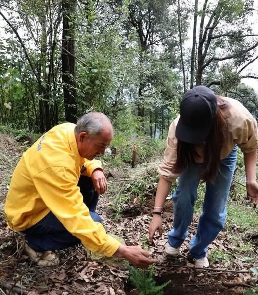 Huixquilucan supera 15 mil árboles plantados en jornadas de reforestación