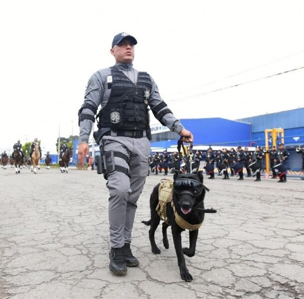 La SSEM se alista con 1,955 elementos para el Desfile Cívico-Militar