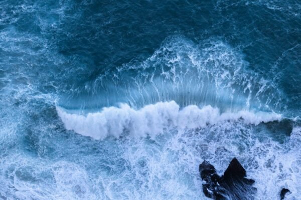 Mar del Plata 2026: cuando el cine mundial vuelve a mirar hacia el Atlántico Sur