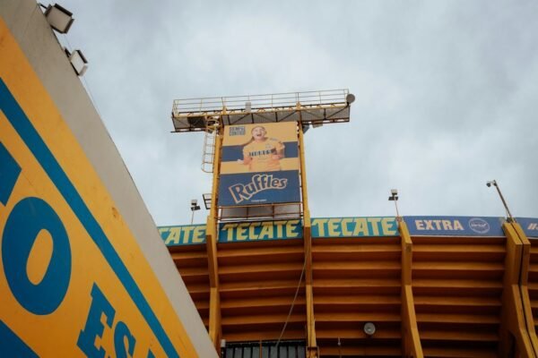Tigres acecha en la sombra: el movimiento que sacude el mercado felino