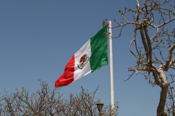 Millones de estudiantes mexicanos acceden a becas: ¿es suficiente?