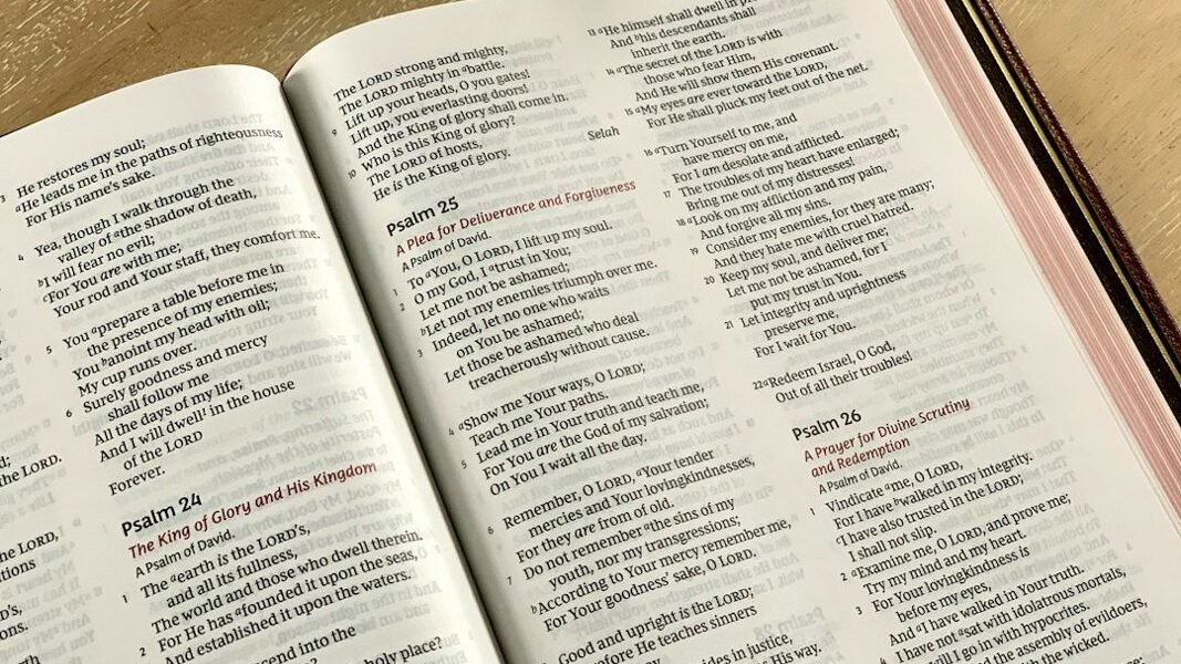 Traducción bíblica: nuevas ediciones en cuatro idiomas llegan en septiembre