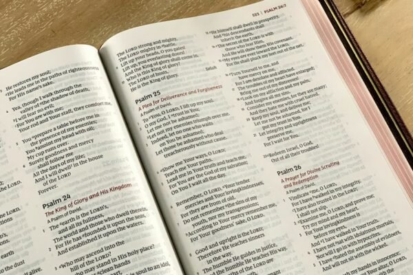 Traducción bíblica: nuevas ediciones en cuatro idiomas llegan en septiembre