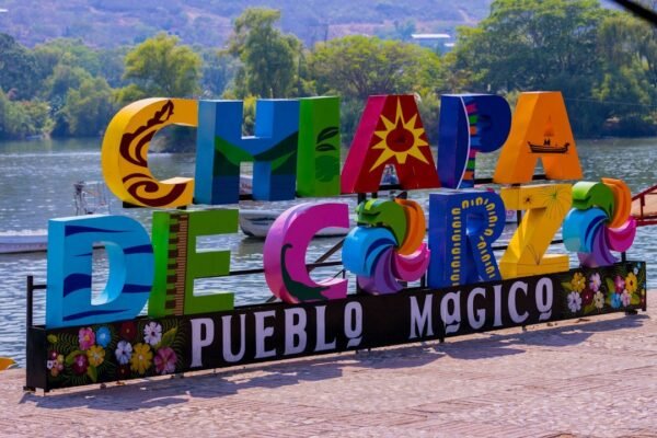 Silencio en la montaña: Asesinato de activista tzotzil en Chiapas