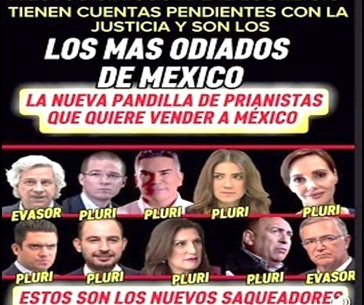 Hormiguero Politico Y Social: Desmanes y corrupción: la protección de delincuentes en México