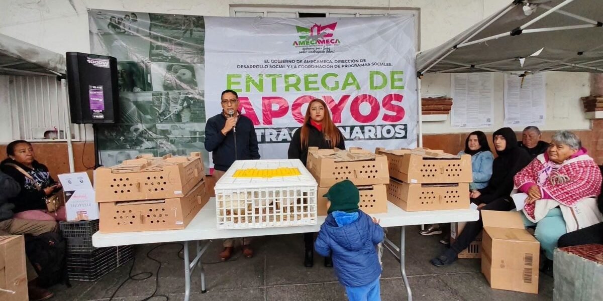 Amecameca impulsa programa de aves de traspatio para fortalecer economía familiar