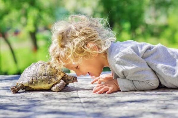 Mascotas para niños: cómo elegir la mejor compañía para su desarrollo