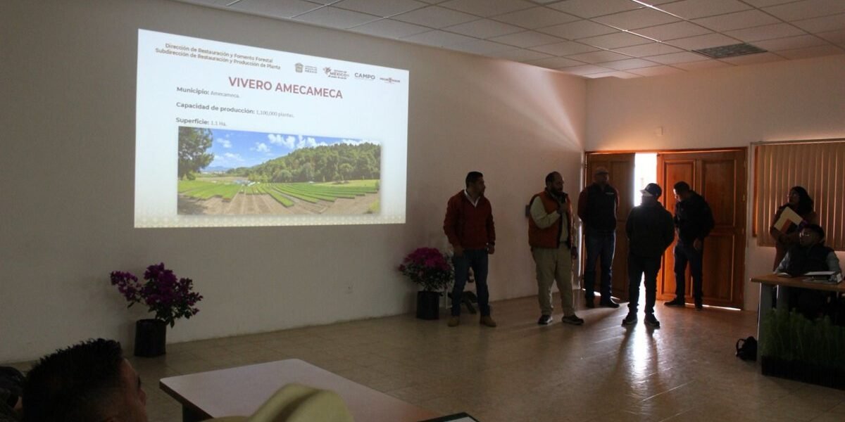 Viveros forestales adoptan nuevos sustratos para mejorar reforestación