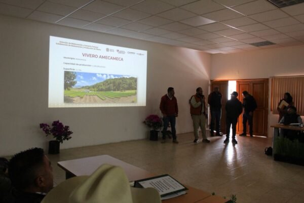 Viveros forestales adoptan nuevos sustratos para mejorar reforestación
